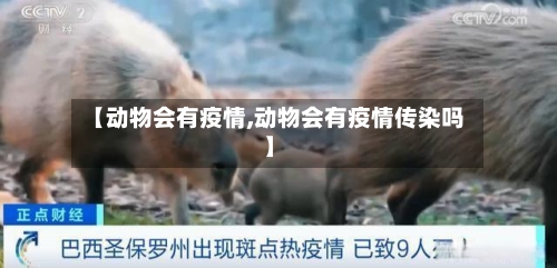 【动物会有疫情,动物会有疫情传染吗】-第1张图片