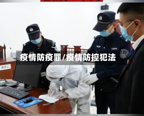 疫情防疫罪/疫情防控犯法-第2张图片