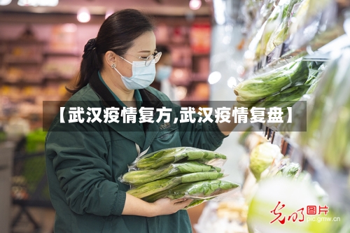 【武汉疫情复方,武汉疫情复盘】-第3张图片