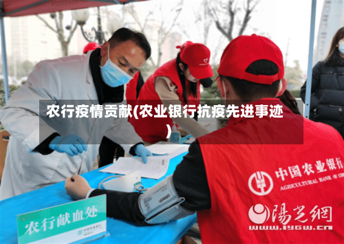 农行疫情贡献(农业银行抗疫先进事迹)-第2张图片