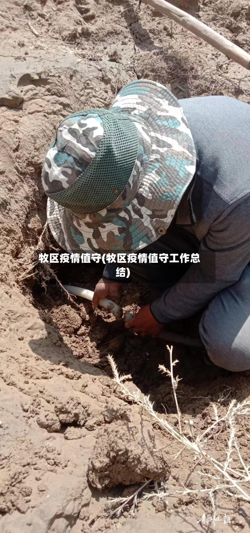 牧区疫情值守(牧区疫情值守工作总结)-第1张图片