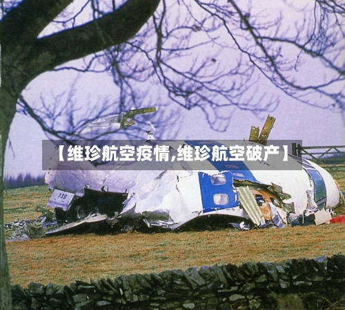 【维珍航空疫情,维珍航空破产】-第3张图片