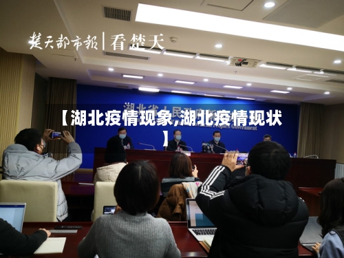 【湖北疫情现象,湖北疫情现状】-第2张图片