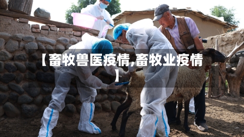 【畜牧兽医疫情,畜牧业疫情】-第1张图片