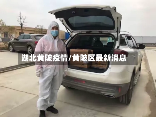 湖北黄陂疫情/黄陂区最新消息-第2张图片