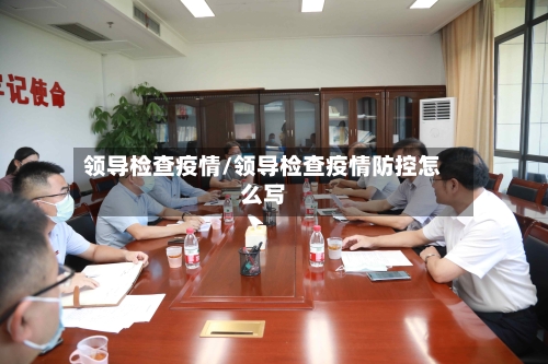 领导检查疫情/领导检查疫情防控怎么写-第1张图片