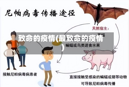 致命的疫情(最致命的疫情)-第1张图片