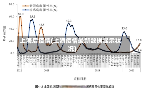 上海后疫情(上海疫情最新数据显示状况)-第2张图片