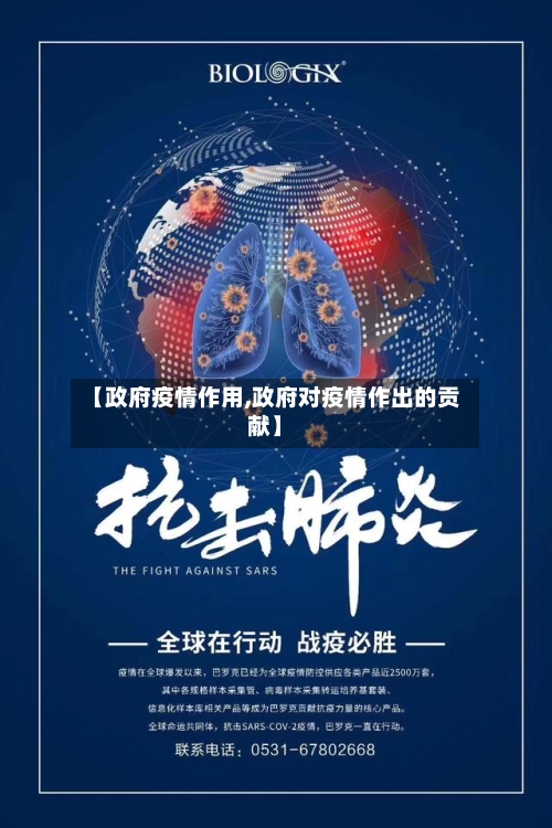 【政府疫情作用,政府对疫情作出的贡献】-第2张图片