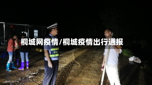 桐城网疫情/桐城疫情出行通报-第2张图片