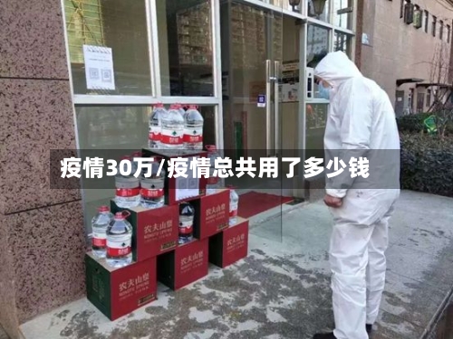 疫情30万/疫情总共用了多少钱-第1张图片