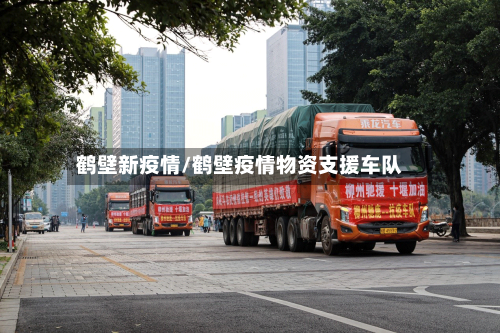 鹤壁新疫情/鹤壁疫情物资支援车队-第2张图片