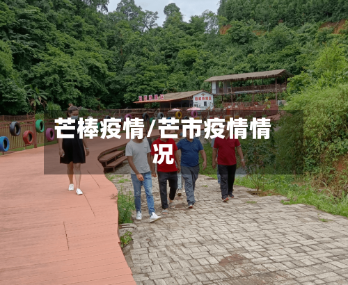 芒棒疫情/芒市疫情情况-第2张图片