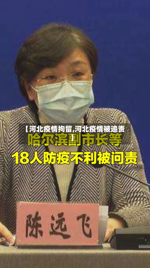 【河北疫情拘留,河北疫情被追责】-第2张图片