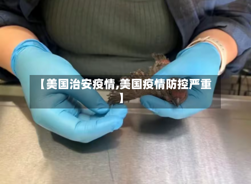 【美国治安疫情,美国疫情防控严重】-第1张图片