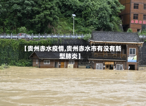 【贵州赤水疫情,贵州赤水市有没有新型肺炎】-第3张图片