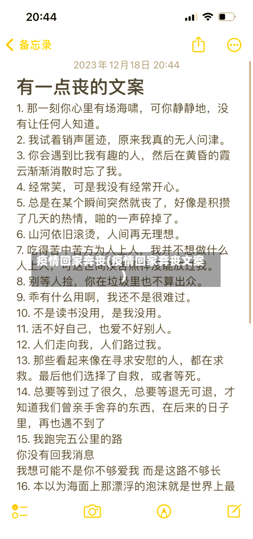 疫情回家奔丧(疫情回家奔丧文案)-第1张图片