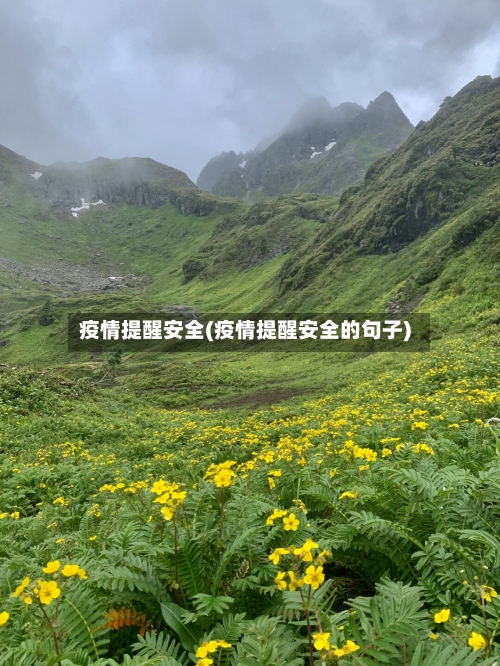 疫情提醒安全(疫情提醒安全的句子)-第2张图片