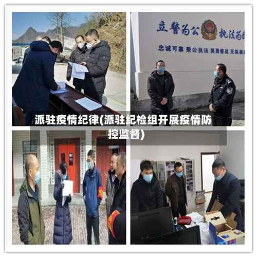 派驻疫情纪律(派驻纪检组开展疫情防控监督)-第3张图片
