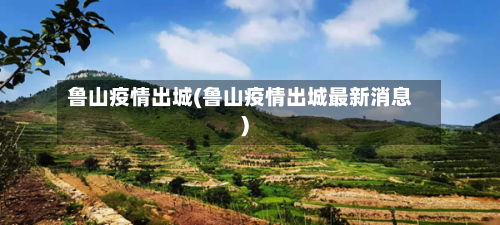 鲁山疫情出城(鲁山疫情出城最新消息)-第3张图片