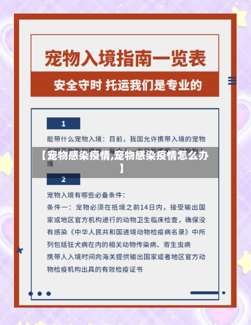 【宠物感染疫情,宠物感染疫情怎么办】-第1张图片