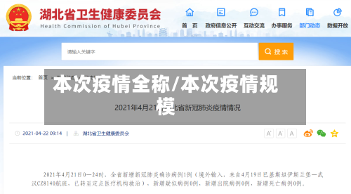 本次疫情全称/本次疫情规模-第3张图片