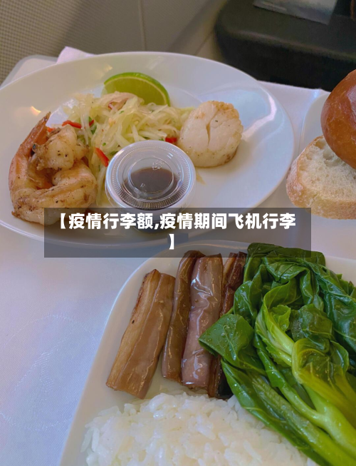 【疫情行李额,疫情期间飞机行李】-第2张图片