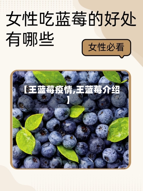 【王蓝莓疫情,王蓝莓介绍】-第1张图片