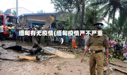 缅甸有无疫情(缅甸疫情严不严重)-第2张图片