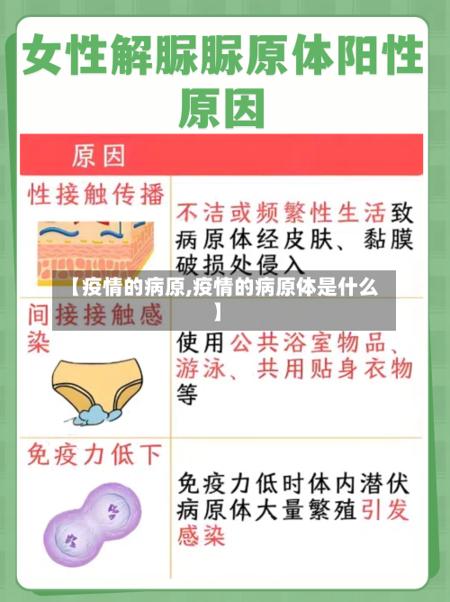 【疫情的病原,疫情的病原体是什么】-第1张图片