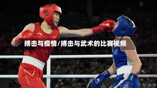 搏击与疫情/搏击与武术的比赛视频-第3张图片