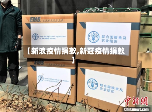 【新浪疫情捐款,新冠疫情捐款】-第1张图片