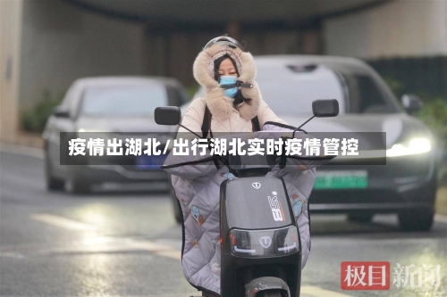 疫情出湖北/出行湖北实时疫情管控-第2张图片