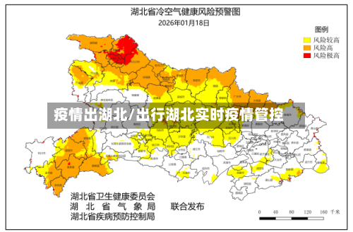 疫情出湖北/出行湖北实时疫情管控-第3张图片