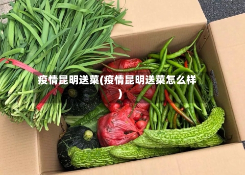疫情昆明送菜(疫情昆明送菜怎么样)-第3张图片
