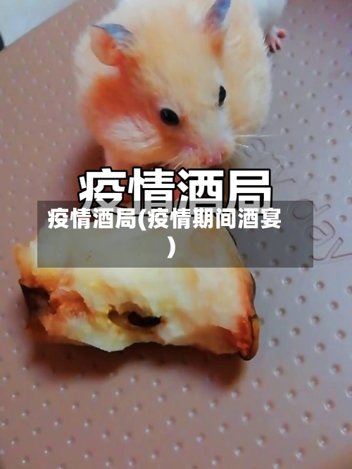 疫情酒局(疫情期间酒宴)-第1张图片