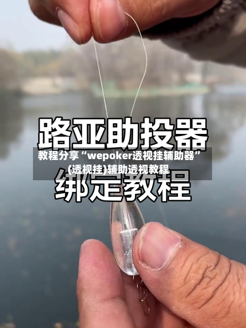 教程分享“wepoker透视挂辅助器”(透视挂)辅助透视教程-第3张图片