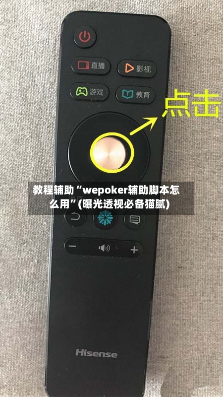 教程辅助“wepoker辅助脚本怎么用”(曝光透视必备猫腻)-第3张图片