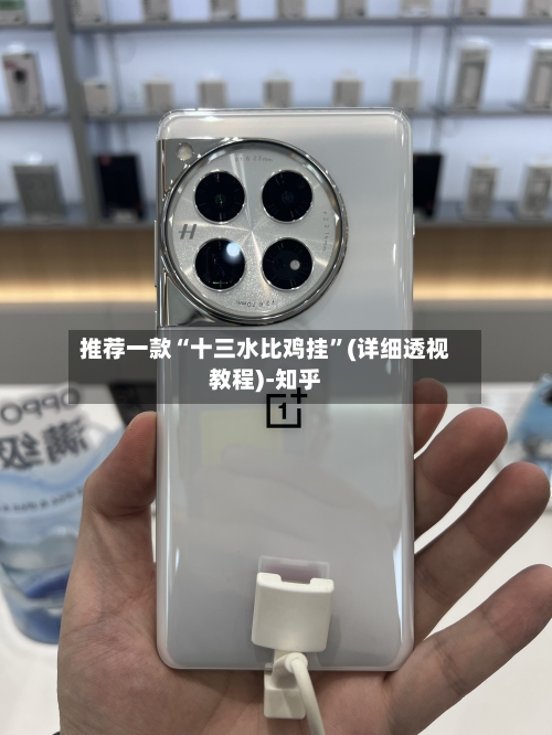 推荐一款“十三水比鸡挂	”(详细透视教程)-知乎-第1张图片