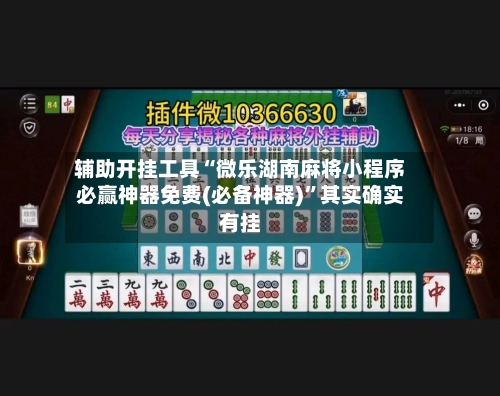 辅助开挂工具“微乐湖南麻将小程序必赢神器免费(必备神器)	”其实确实有挂-第2张图片