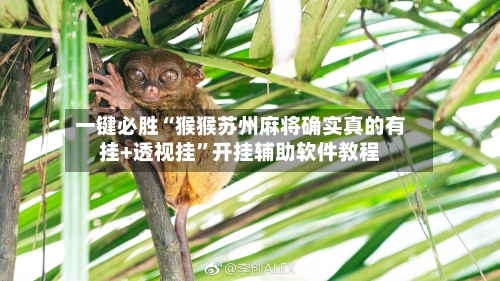一键必胜“猴猴苏州麻将确实真的有挂+透视挂”开挂辅助软件教程-第2张图片