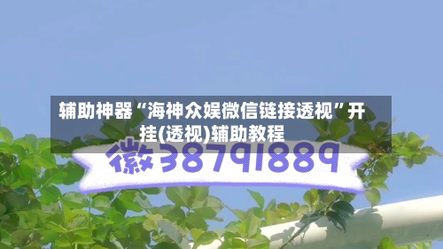 辅助神器“海神众娱微信链接透视”开挂(透视)辅助教程-第2张图片