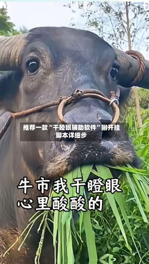 推荐一款“干瞪眼辅助软件	”附开挂脚本详细步-第1张图片