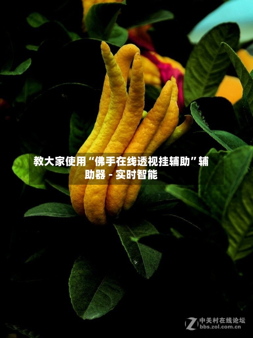 教大家使用“佛手在线透视挂辅助”辅助器 - 实时智能-第1张图片