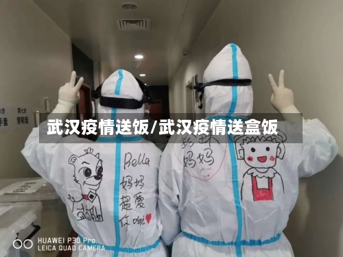 武汉疫情送饭/武汉疫情送盒饭-第1张图片