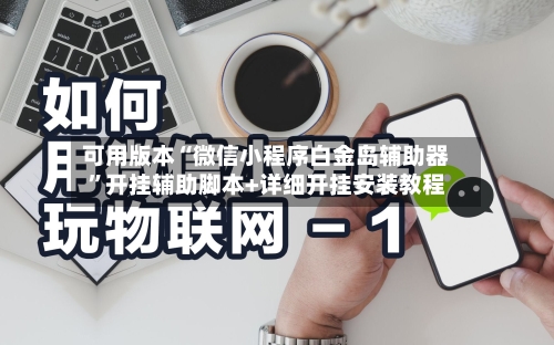 可用版本“微信小程序白金岛辅助器”开挂辅助脚本+详细开挂安装教程-第2张图片