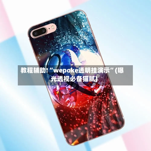 教程辅助!“wepoke透明挂演示”(曝光透视必备猫腻)-第2张图片