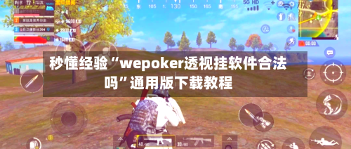 秒懂经验“wepoker透视挂软件合法吗	”通用版下载教程-第2张图片