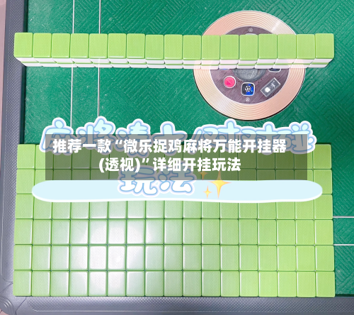 推荐一款“微乐捉鸡麻将万能开挂器(透视)”详细开挂玩法-第3张图片