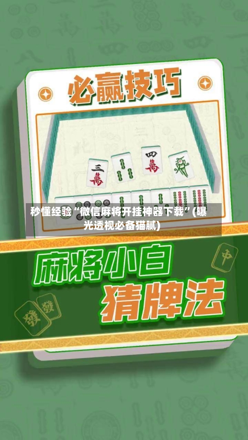 秒懂经验“微信麻将开挂神器下载”(曝光透视必备猫腻)-第1张图片